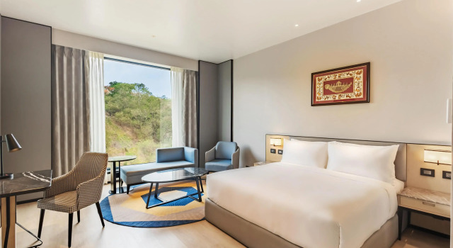 Номер Deluxe Radisson Hotel Jamshedpur