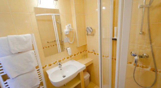 Номер Standard Aranyhomok Hotel Business & Relax