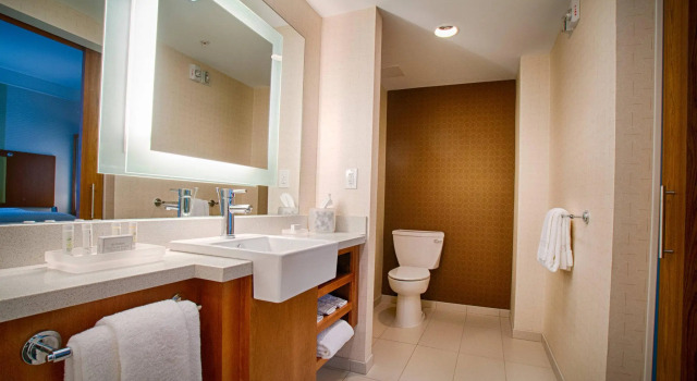 Двухместный люкс SpringHill Suites by Marriott Canton