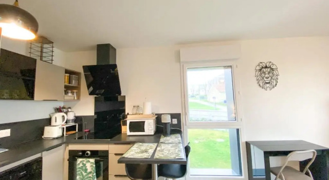 Large modern and cozy apartment in Caen, Забронировать Апартаменты/квартира Кан 