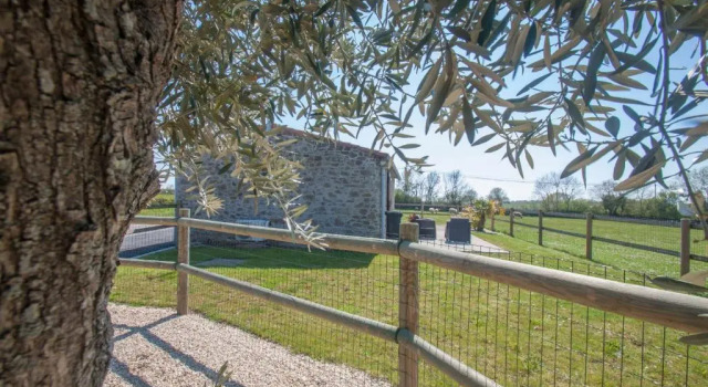 Коттедж c 1 комнатой Gîte du Bois Brillant