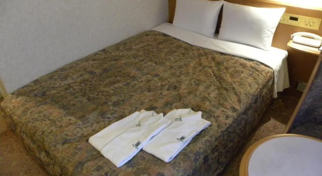 Двухместный номер Standard Hotel New Green Okachimachi