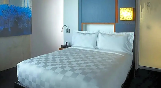 Двухместный номер Standard c 1 комнатой Alt Hotel Toronto Airport