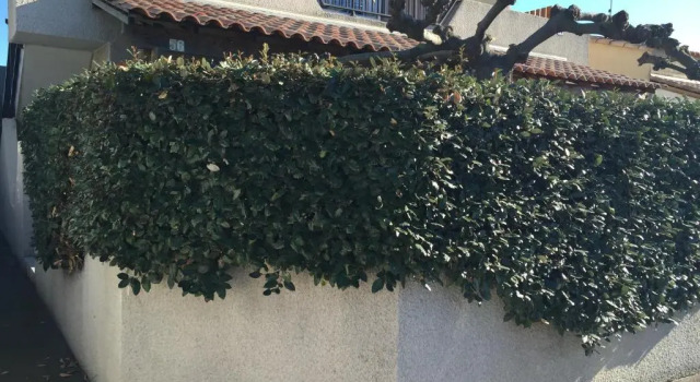 Languedoc Immobilier Appartement Mezzanine Parking Privé Piscine - Ca58