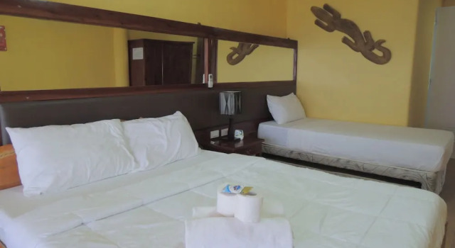 Номер Standard Asian Belgian Resort