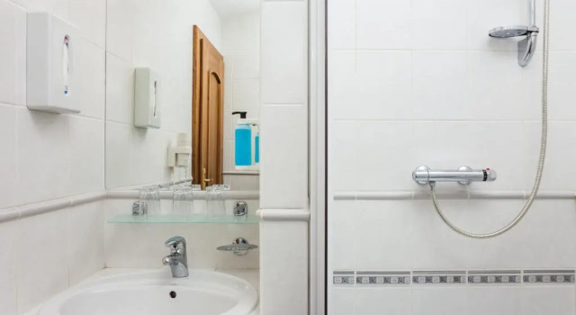 Двухместный номер Standard Hotel Jelínkova vila