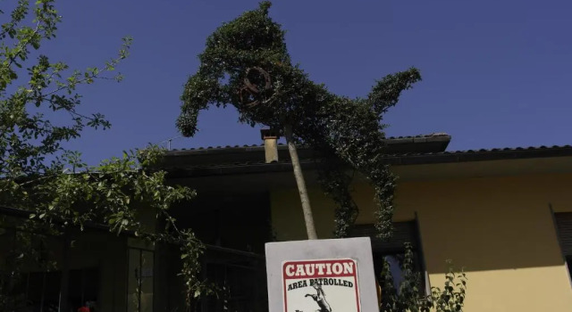 Agridomus il Mulino, Book Hotel Palazzo del Pero Toscana