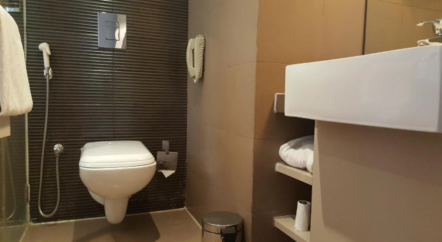 Двухместный номер Deluxe Royal Orchid Central Vadodara