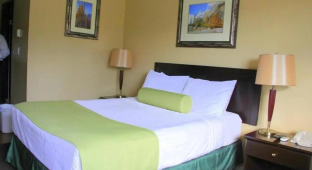 Camera Standard Acorn Motel