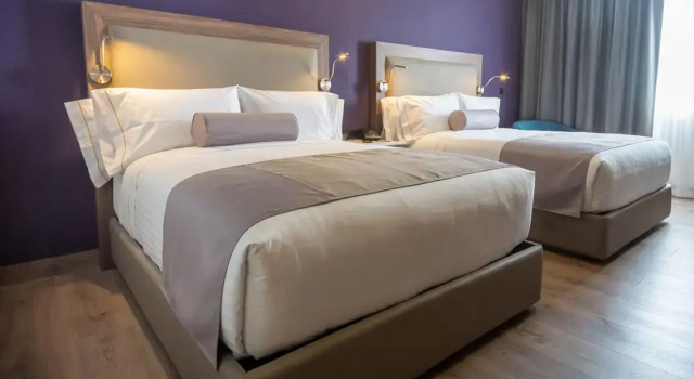 Номер Deluxe Sheraton Guadalajara Expo