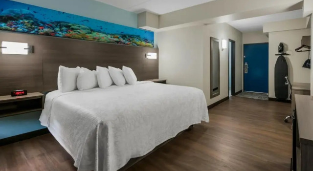 Номер Superior Red Roof Inn PLUS & Suites Virginia Beach - Seaside