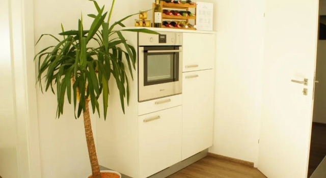 Апартаменты MOUNTAIN HOME apartment