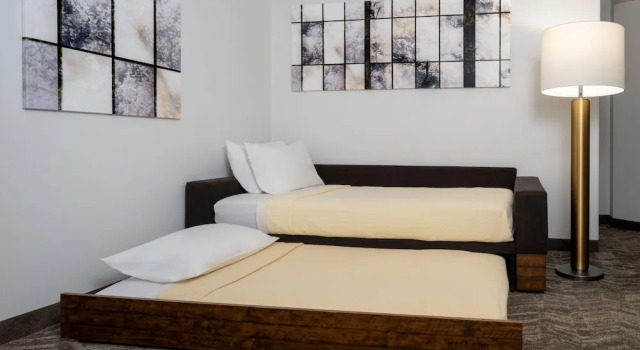Suite SpringHill Suites Gainesville