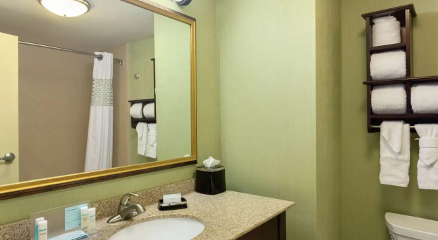 Номер Standard Hampton Inn & Suites Prattville