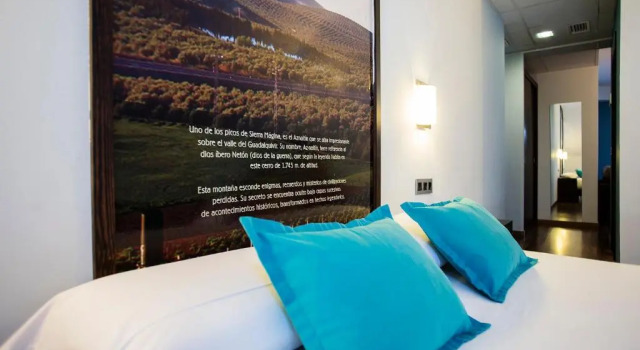 Полулюкс Hostal Aznaitin