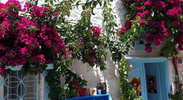 Alacati Frida Butik Otel