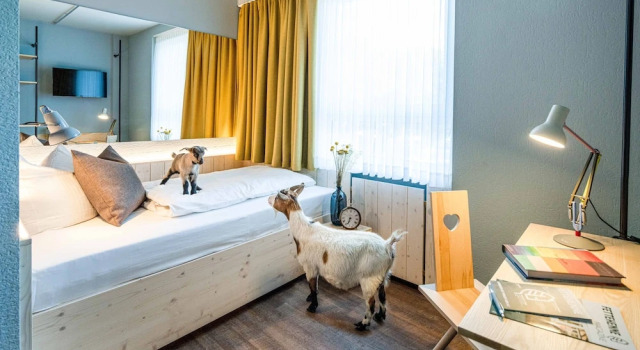 Gartenhotel Fettehenne