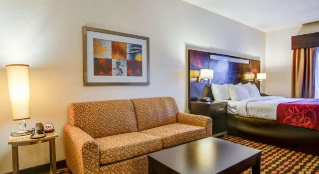 Номер Standard Comfort Suites Northside Hospital Gwinnett