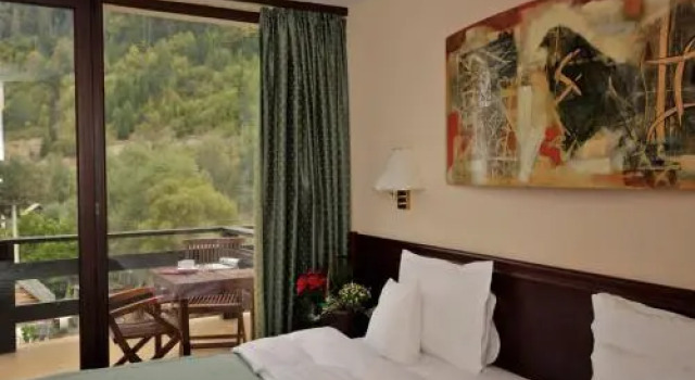 Zan Hotel, Rezerwuj Hotel Hotele SPA w Carpathians - Romania, SPA