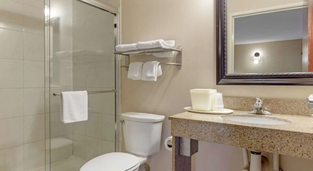 Двухместный люкс Quality Inn Raleigh Downtown
