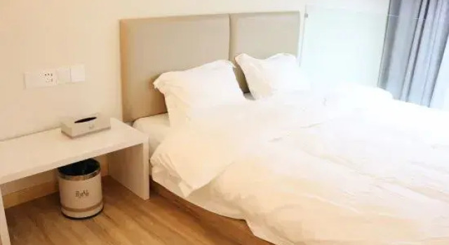 Люкс Fuyu Qingsu Apartment