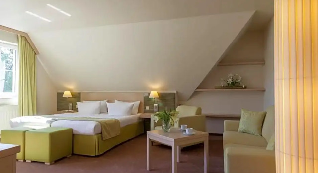 Номер Standard Logis Hôtel Kur- und Wellnesshaus Spree Balance