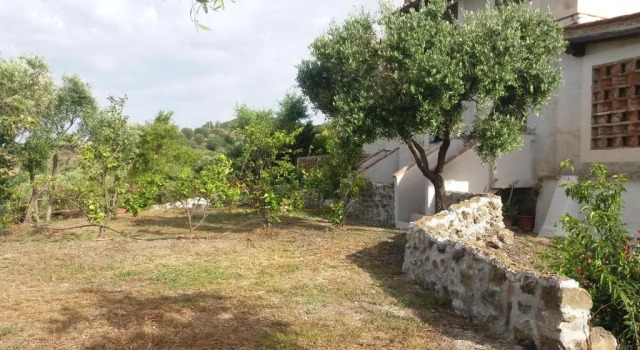 Апартаменты Standard Casa Vacanze Il Pino