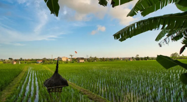 Вилла с 2 комнатами Sotis Villas Canggu