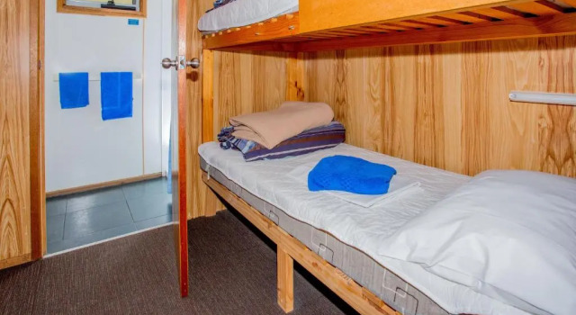 Cabin Superior Discovery Parks - Cradle Mountain