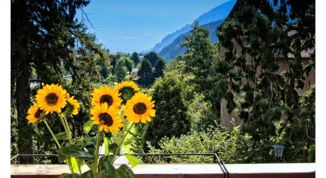 Студия Apparthotel Taufenbrunn
