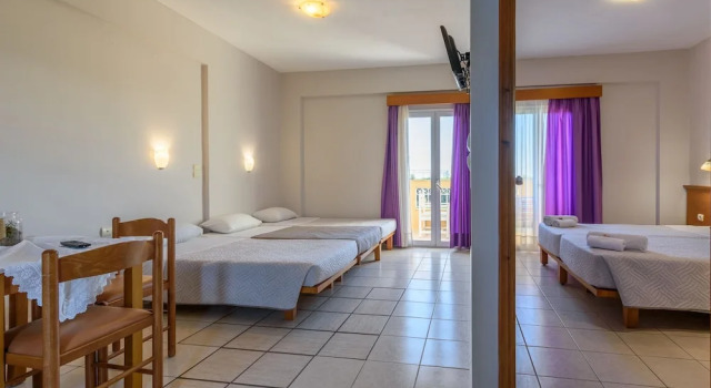 Апартаменты Standard c 1 комнатой Danelis Studios & Apartments