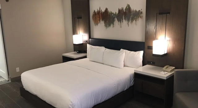 Двухместный номер Standard с балконом Hilton Peachtree City Atlanta Hotel & Conference Center