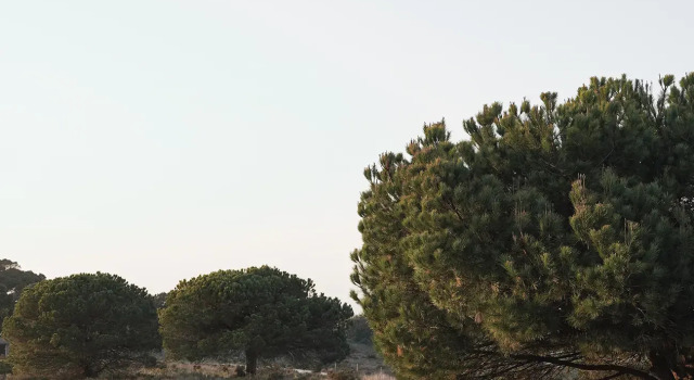 Casas na Areia