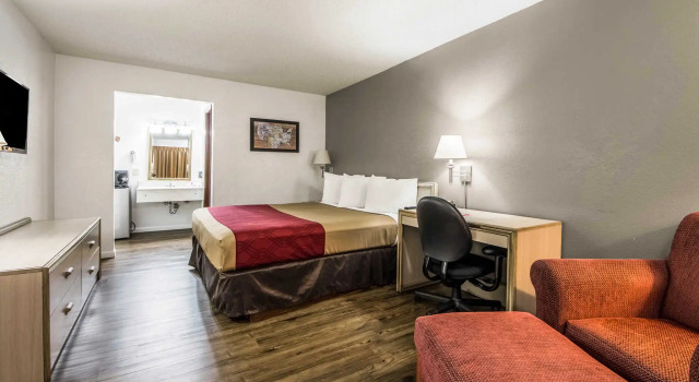 Номер Standard Econo Lodge Dallas Airport North