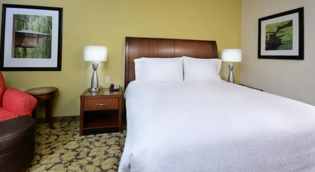 Двухместный номер Premium Hilton Garden Inn Greensboro Airport