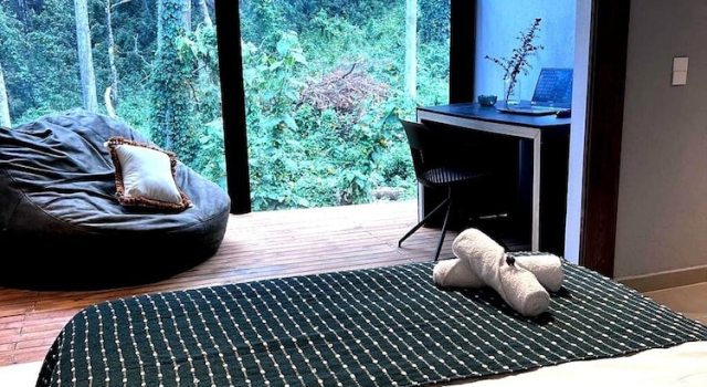 Апартаменты Deluxe A Estadia tranquila con vista al bosque