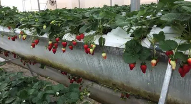 So 10 Home Garden, Book Hotel Da Lat Lam Dong