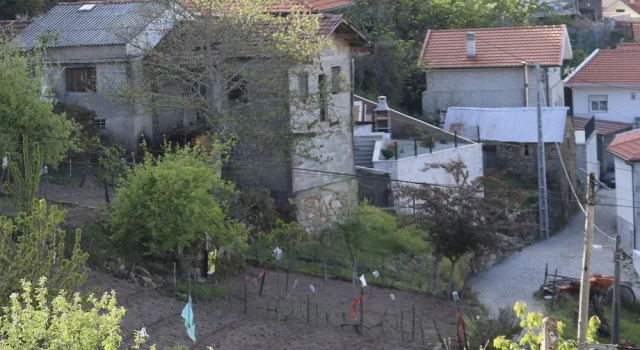 Номер Standard Comfortable Rural Cottage in Ancient Village in the Douro Region