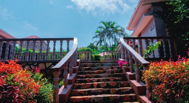 Номер Deluxe Gazelle Guest House