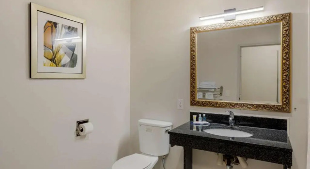 Номер Standard Comfort Inn & Suites Mt Laurel-Philadelphia