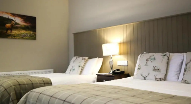 Двухместный номер Standard Mulroy Woods Hotel