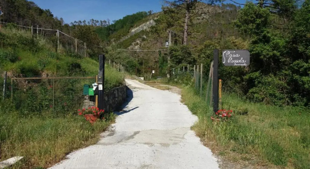 Апартаменты Casa Cinzia Bonassola Cinque Terre