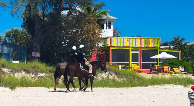 Номер Standard Anna Maria Island Beach Palms 8B