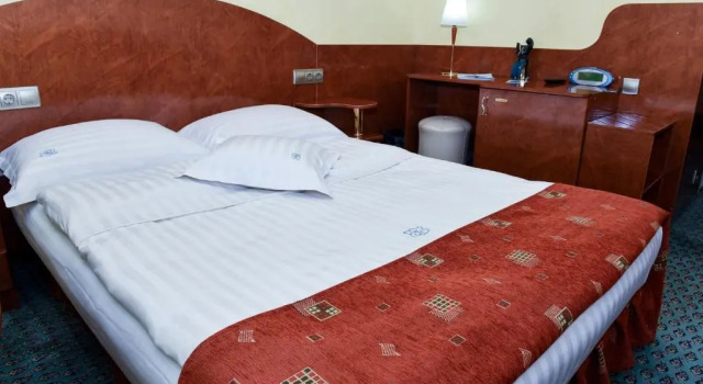 Номер Economy Hotel Carpati