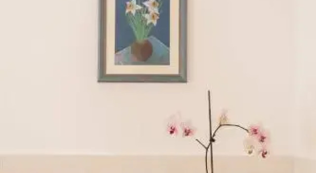 Apartment Dalmatian Garden, Забронировать Апартаменты/квартира Апартаменты Шибеник, рядом с Sibenik Town Museum, Апартаменты/квартира
