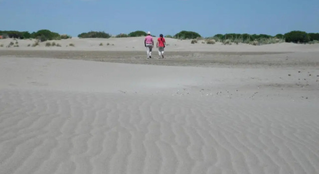 La Nanou'che (roulotte en Camargue), Rezerwuj Hotel Le Cailar 