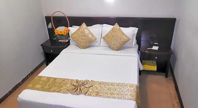 Двухместный номер Standard Green Leaf Hotel