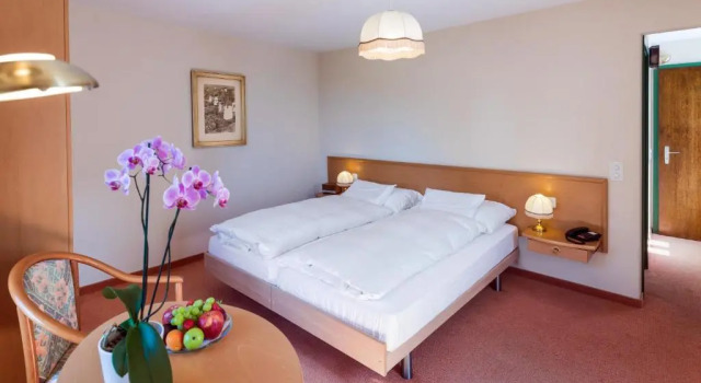 Двухместный номер Standard Hotel & Spa Cacciatori