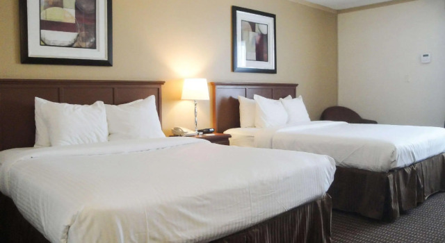 Четырёхместный номер Standard All Stay Suites