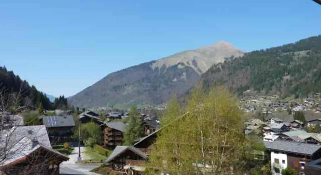 Appartement Morzine, 2 pièces, 6 personnes - FR-1-524-20, Забронировать Апартаменты/квартира Апартаменты Морзин, рядом с Горнолыжный подъемник Мас Вержю, Апартаменты/квартира